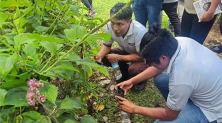 Se muetran dos hombres arrodillados tomando fotos a las plantas