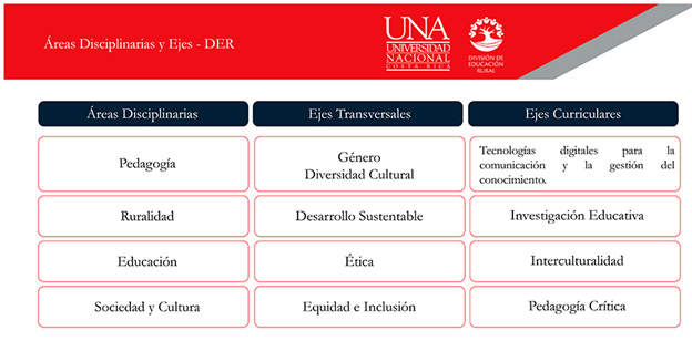 Áreas disciplinarias y ejes