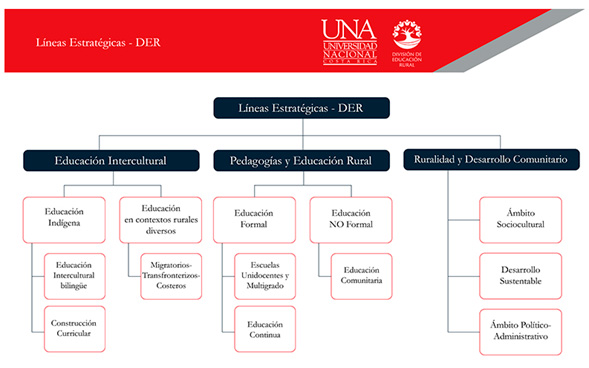 Lineas estrategicas